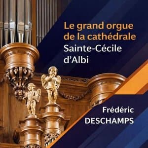 Le grand orgue de la cathedrale Sainte-Cecile dAlbi