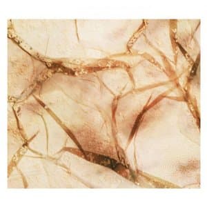 Tectonic Particles