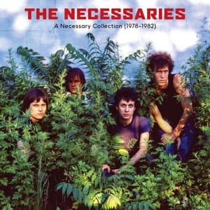 A Necessary Collection (1978-1982)