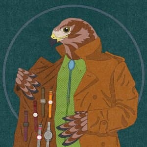 Ad Hawk