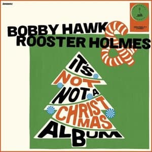 Its Not Not A Christmas Album