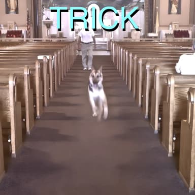 Trick