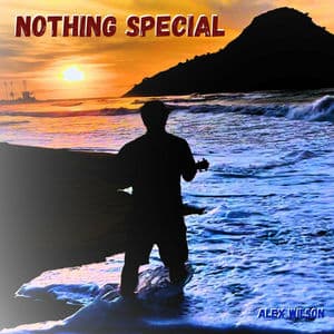 Nothing Special
