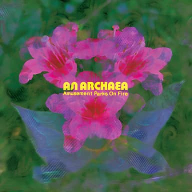 An Archaea