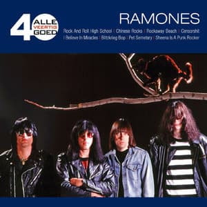 Alle 40 Goed Ramones