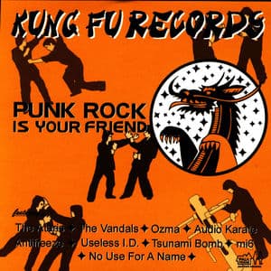 Punk Rock Is Your Friend