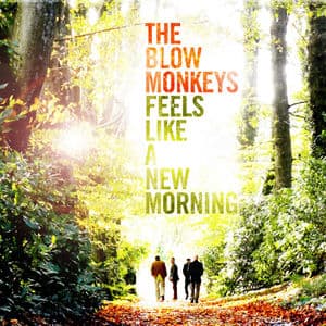 Feels Like a New Morning