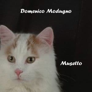 Musetto