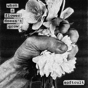 When A Flower Doesnoctot Grow