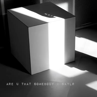 Are You That Somebody?