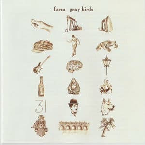 gray birds