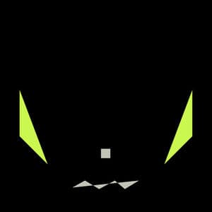 NIGHT OF