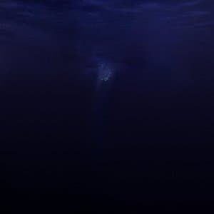 Salt & Silence