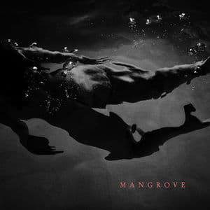 Mangrove