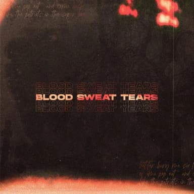 Blood Sweat & Tears (deluxe Edition)