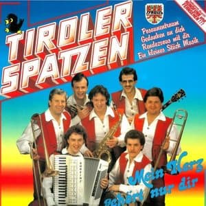 Mein Herz gehort nur dir