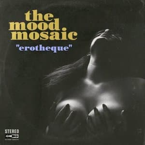 Erotheque (Unleashing Groovy Musical Lust)