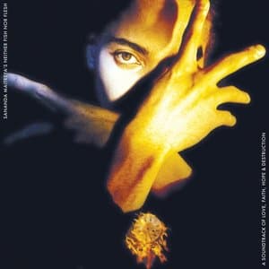 Sananda Maitreyas Neither Fish Nor Flesh a Soundtrack Of Love, Faith, Hope & Destruction (Remastered)
