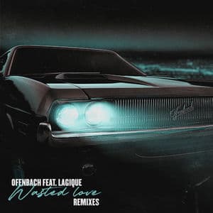 Wasted Love (feat. Lagique) (Remixes)