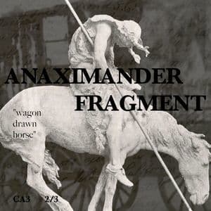 Wagon Drawn Horse