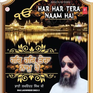 Har Har Tera Naam Hai