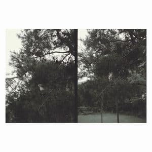 just like any other day (어느날) : background music for your mundane activities