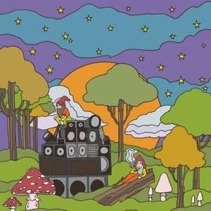 Vast