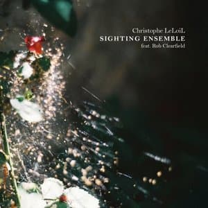 Sighting Ensemble
