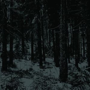 Abstrakter Wald
