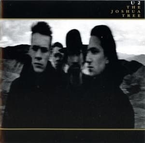 The Joshua Tree