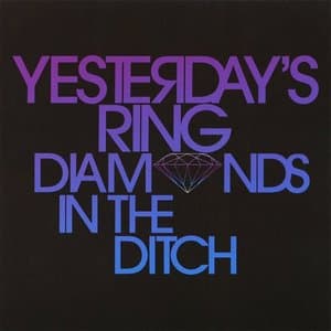 Diamonds In The Ditch