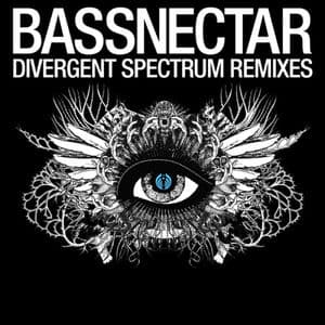 Divergent Spectrum Remix EP