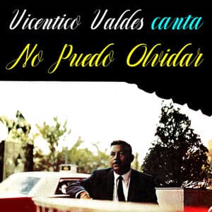 No Puedo Olvidar (Strangers in the Night)
