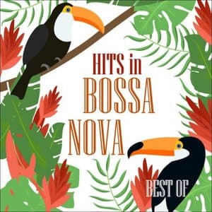 Bossa Nova Lounge - Best Of