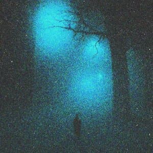 Faded Memory