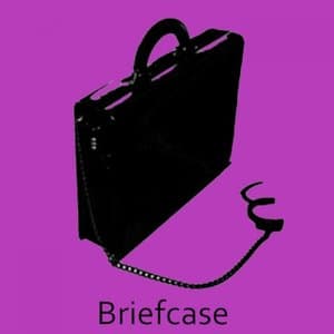 The Briefcase Project