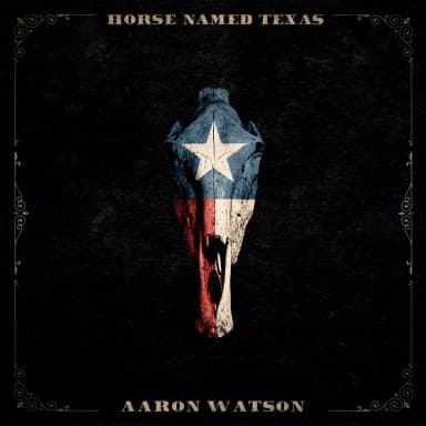 Horse Named Texas