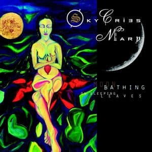 Moon Bathing On Sleeping Leaves