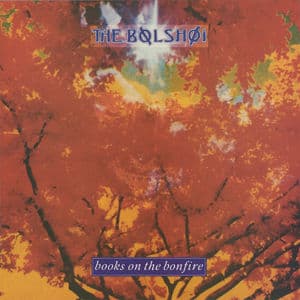 Books on the Bonfire