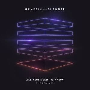 All You Need To Know (The Remixes)