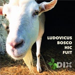 Ludovicus Bosco Hic Fuit