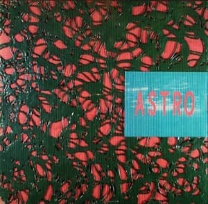 Acid Safari