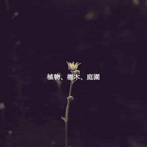 植物、樹木、庭園
