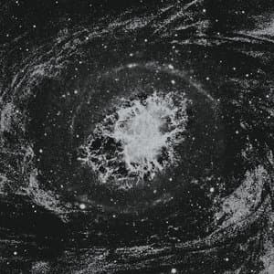 To Sense | To Perceive