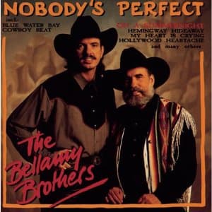 Nobodys Perfect