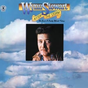 After The Storm (Expanded Edition)