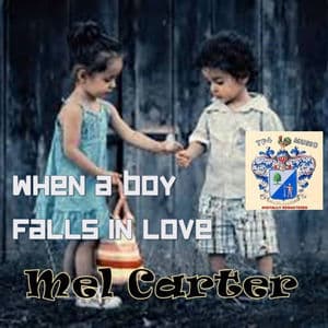 When a boy falls in love