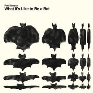 Whats Its Like to Be a Bat