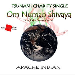 Om Numah Shivaya