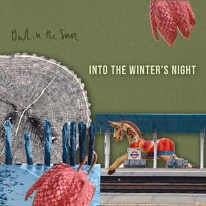 Into the Winters Night